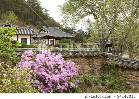 Five thousand historical sites, Andong, Gyeongbuk 54148815