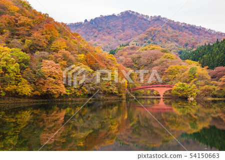 秋天的臼井，紅葉的臼井湖 54150663