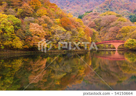 秋天的臼井，紅葉的臼井湖 54150664