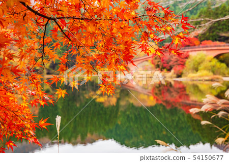 Usui Pass in Autumn, Usui Lake in Autumn Leaves Usui Pass in Autumn, Usui Lake in Autumn Leaves 54150677