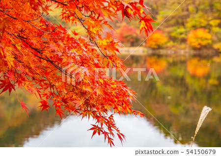 Usui Pass in Autumn, Usui Lake in Autumn Leaves Usui Pass in Autumn, Usui Lake in Autumn Leaves 54150679