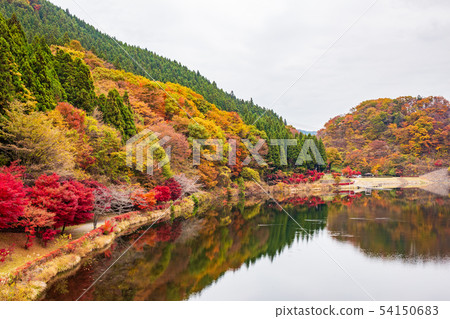 Usui Pass in Autumn, Usui Lake in Autumn Leaves Usui Pass in Autumn, Usui Lake in Autumn Leaves 54150683