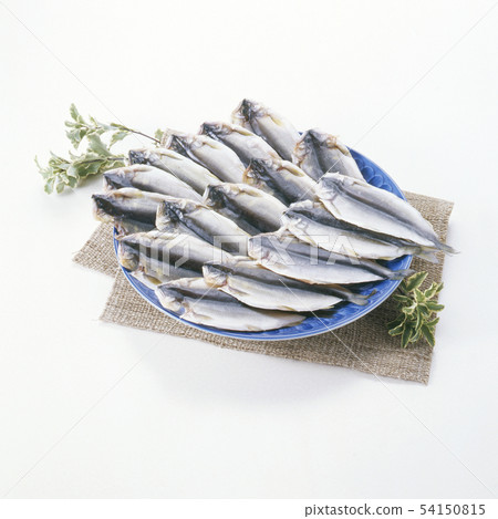 一夜之間打開藤幹 54150815