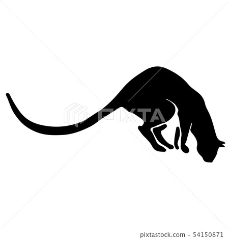 Hand Drawn Vector Cat Silhouette Hand Drawn Vector Cat Silhouette 54150871