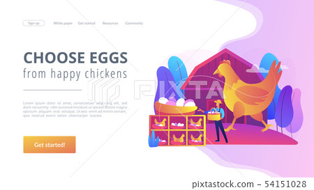 Free run chicken and eggs concept landing page. Free run chicken and eggs concept landing page. 54151028