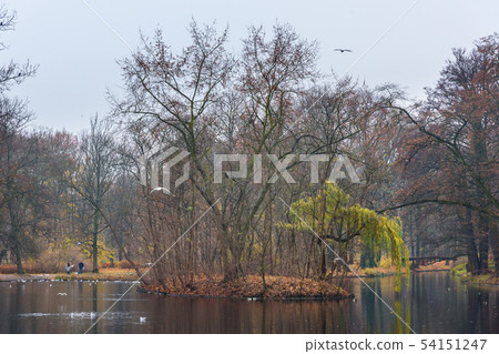 Lazienki Park or Royal Baths Park in autumn. Lazienki Park or Royal Baths Park in autumn. 54151247