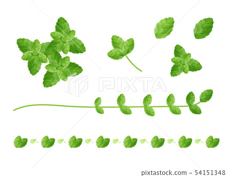 peppermint 54151348