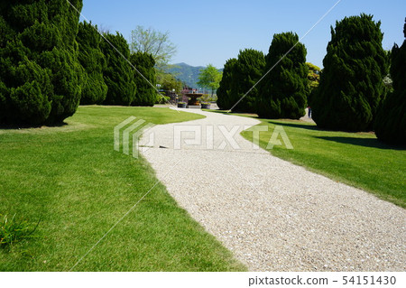 Road in the park Road in the park 54151430