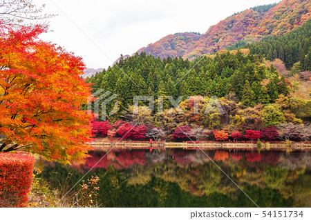 Usui Pass in Autumn, Usui Lake in Autumn Leaves Usui Pass in Autumn, Usui Lake in Autumn Leaves 54151734