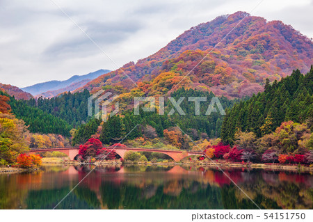秋天的臼井，紅葉的臼井湖 54151750