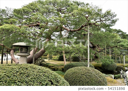 加賀Kenrokuen Daimyo花園 加賀Kenrokuen Daimyo花園 54151898