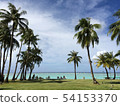Guam Palm Tree Beach 54153370