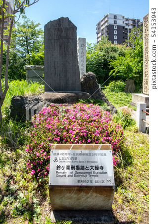 Suzugamori remains Suzugamori remains 54153943