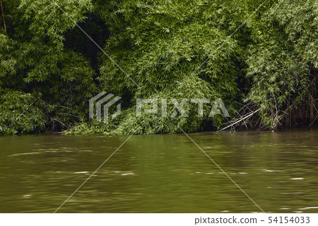 Travel Kanchanaburi river Kwai Yai Travel Kanchanaburi river Kwai Yai 54154033