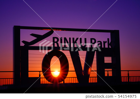 Evening landscape 54154975