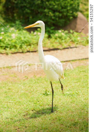 [Daisagi] Large injuries, one leg 54155297