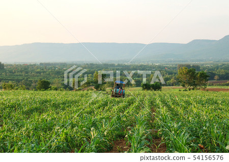 Farmer preparing and spraying pesticides on field. 54156576