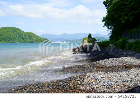 Fresh green West Maizuru Bay-33 Fresh green West Maizuru Bay-33 54158723