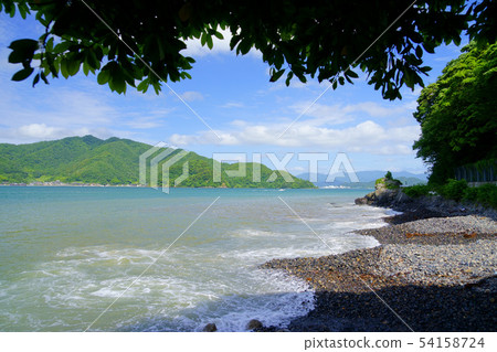 Fresh green West Maizuru Bay-34 54158724