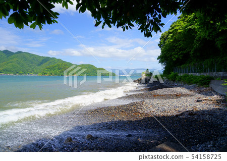 Fresh green West Maizuru Bay-35 54158725