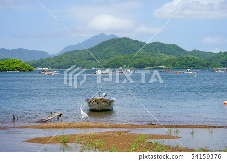Fresh green West Maizuru Bay-59 Fresh green West Maizuru Bay-59 54159376