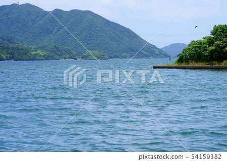 新鮮的綠色西Maizuru海灣-63 54159382