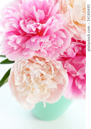 Cut flower of glaze Cut flower of glaze 54160495