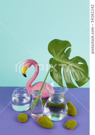 water monstera and flamingo water monstera and flamingo 54161142