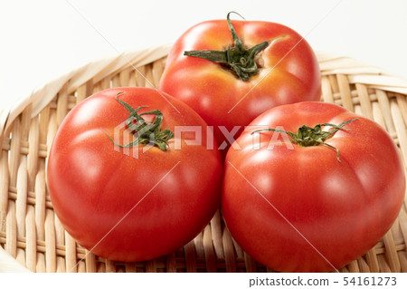 Tomato Tomato 54161273
