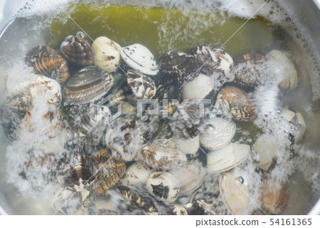 Boiling clams Boiling clams 54161365