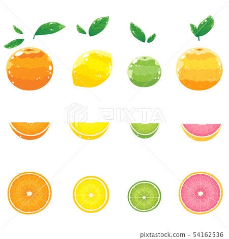 citrus fruit citrus fruit 54162536