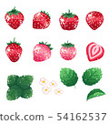 strawberry 54162537