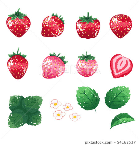 strawberry 54162537