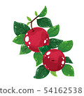 apple II 54162538