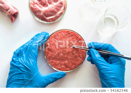 Laboratory studies of artificial meat. Top view. 54162546
