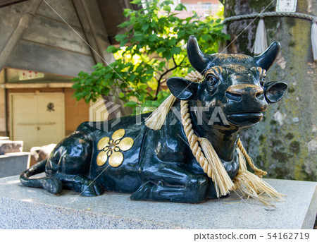 東京中野區的Arai Tenjin Kitano神社：Cape的奶牛 54162719