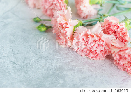 Bouquet of pink carnations Bouquet of pink carnations 54163065