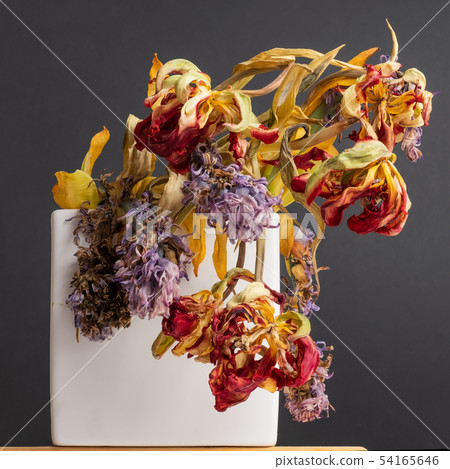 Withered flowers in vase on table on black wall 54165646