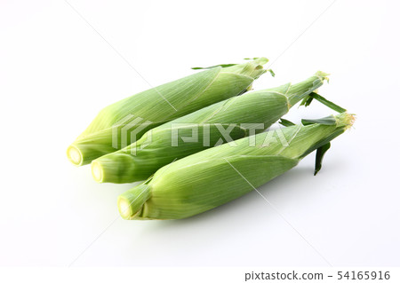 Corn 54165916