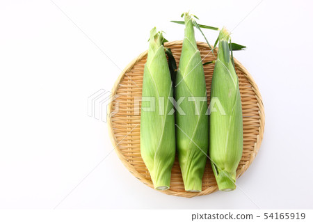 Corn 54165919