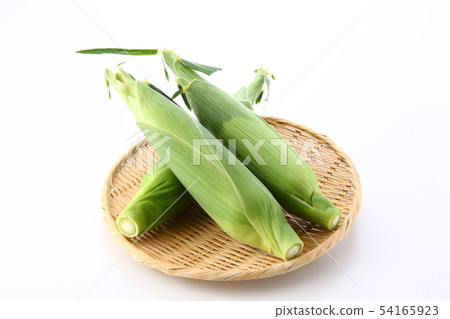Corn 54165923