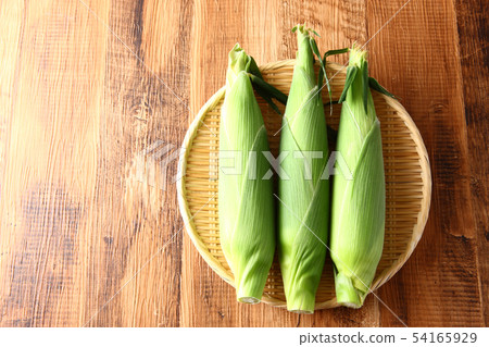 玉米 54165929