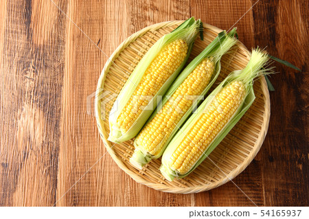 Corn 54165937