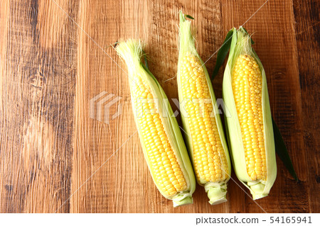 Corn 54165941