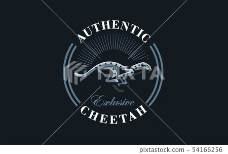 The image of a cheetah. 54166256