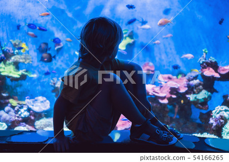 Little boy, kid watching the shoal of fish swimming in oceanarium, children enjoying underwater life 54166265