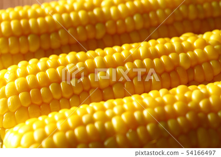水煮玉米 54166497