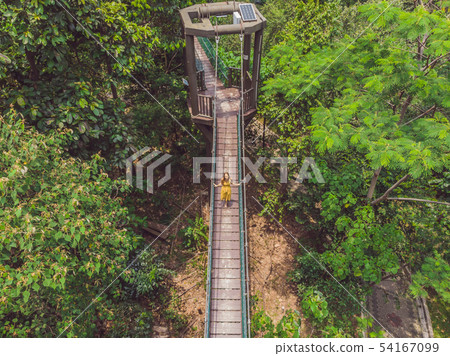 Young woman tourist at capilano suspension bridge kuala lumpur forest eco-park areial view 54167099