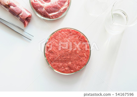 Laboratory studies of artificial meat. Minced meat in glass Petri dish. Chemical experiment. Laboratory studies of artificial meat. Minced meat in glass Petri dish. Chemical experiment. 54167596