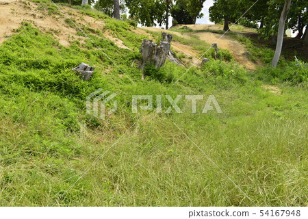 [大阪府富士德拉市]世界遺產 - 舊城舊墓（Hachizuka Old Tomb） 54167948